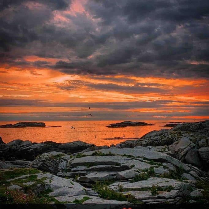 Close To Sea, Central, Rent A Boat, Mountain Hike, Wifi, Free Parking Haug Экстерьер фото